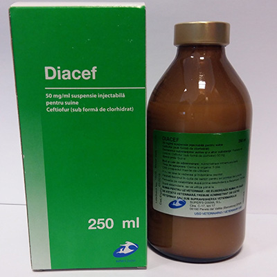 Diacef 50mg/ml