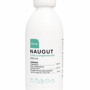 Naugut