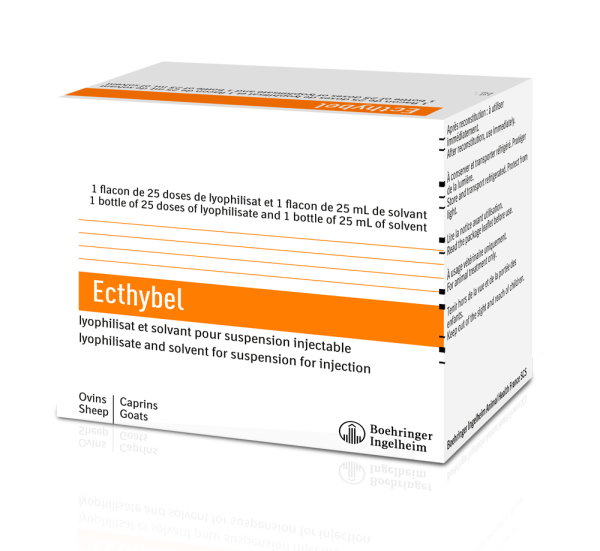 Ecthybel