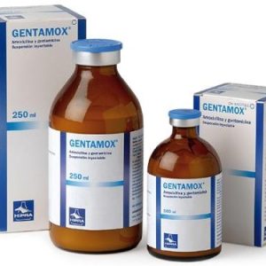 Gentamox