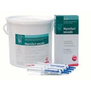 Mamifort secado 250/500 mg
