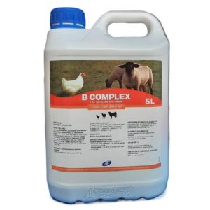 B complex + K + colină