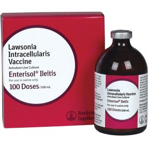 Enterisol Ileitis