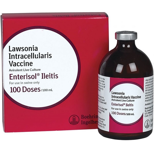 Enterisol Ileitis